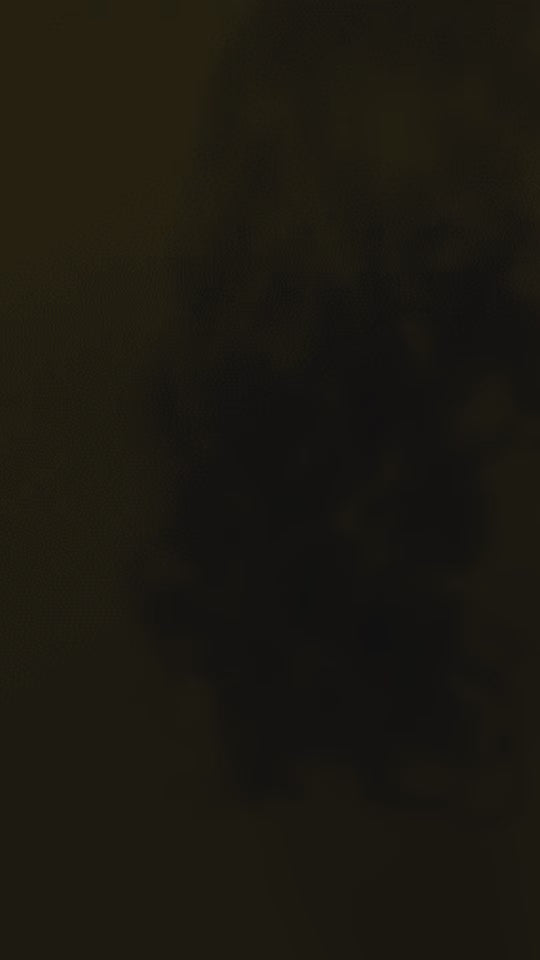 Diana Jet Black  Ready-To-Wear Glueless Wig.